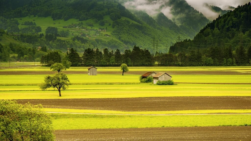 a field of green with a small farmhouse in the center. mountains in the background